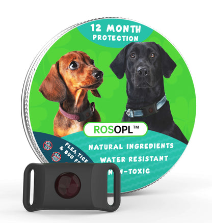 ⏰Last Day 60% OFF-🐕12 Months Flea and Tick Free.