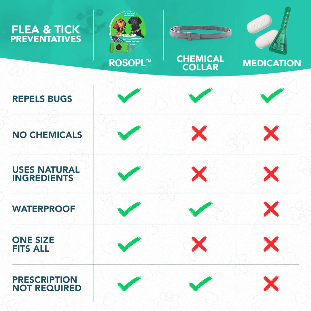 ⏰Last Day 60% OFF-🐕12 Months Flea and Tick Free.