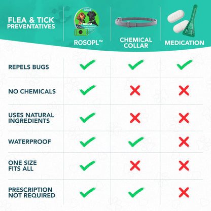 ⏰Last Day 60% OFF-🐕12 Months Flea and Tick Free.