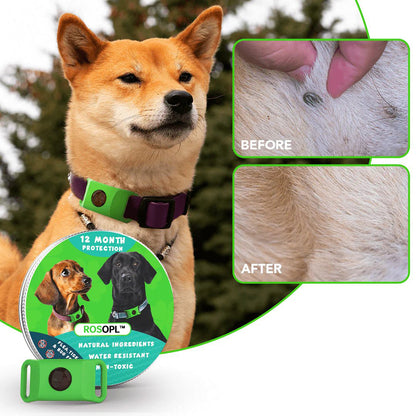 ⏰Last Day 60% OFF-🐕12 Months Flea and Tick Free.