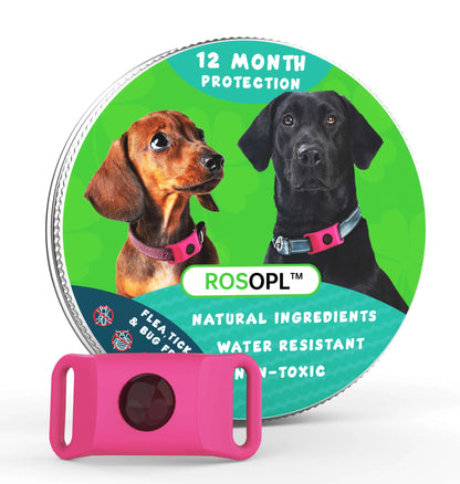 ⏰Last Day 60% OFF-🐕12 Months Flea and Tick Free.