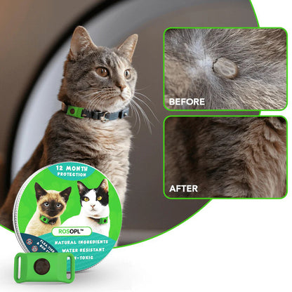 ⏰Last Day 60% OFF-🐕12 Months Flea and Tick Free.