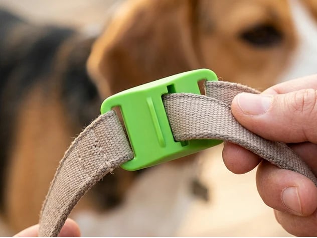 ⏰Last Day 60% OFF-🐕12 Months Flea and Tick Free.