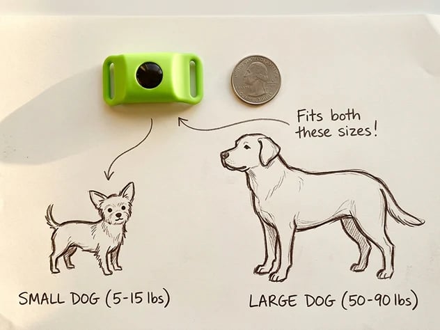 ⏰Last Day 60% OFF-🐕12 Months Flea and Tick Free.