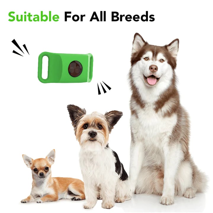 ⏰Last Day 60% OFF-🐕12 Months Flea and Tick Free.