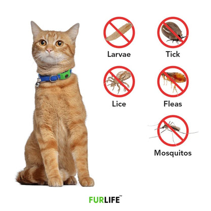 ⏰Last Day 60% OFF-🐕12 Months Flea and Tick Free.
