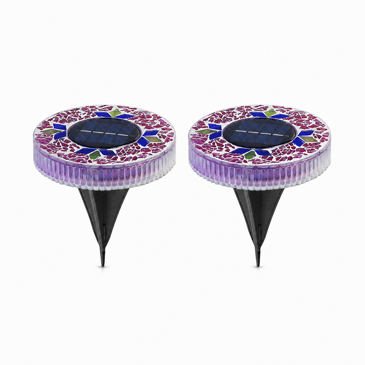 Fuchsia-Round