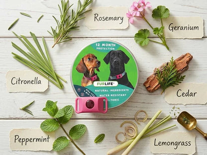 ⏰Last Day 60% OFF-🐕12 Months Flea and Tick Free.